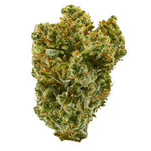 canna eight