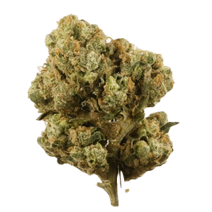 canna five