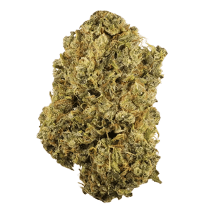 canna seven