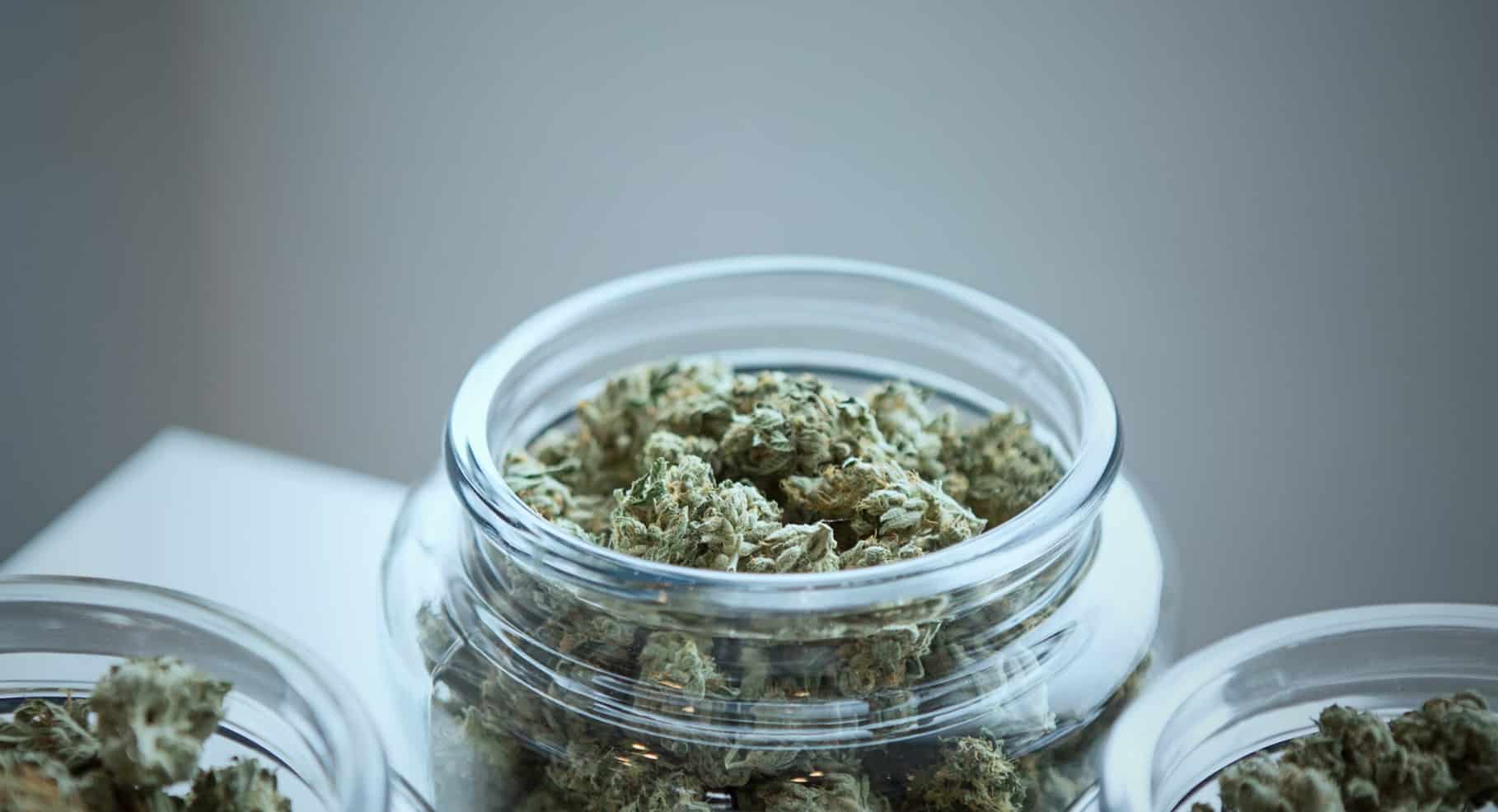 cannabis three